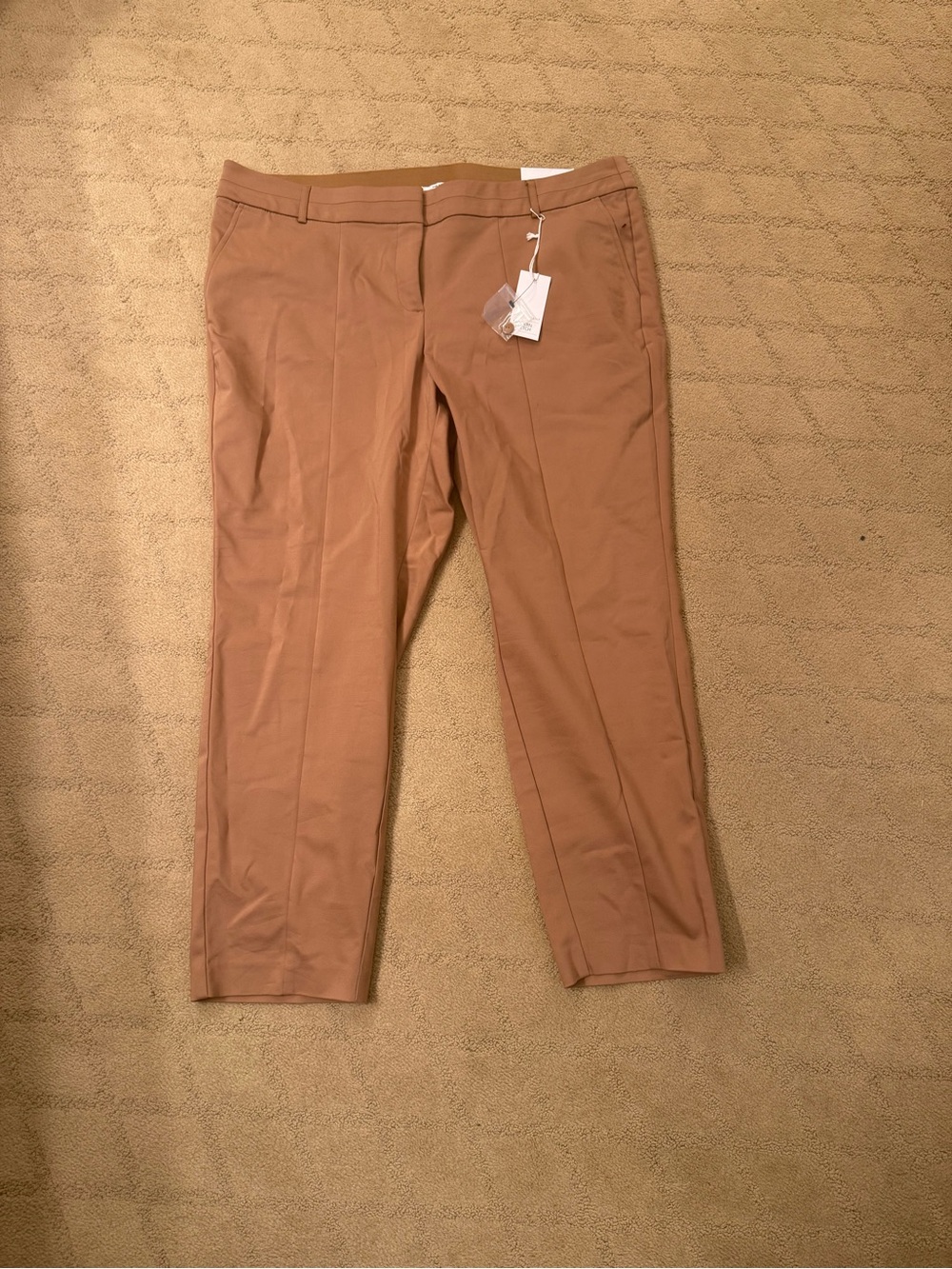 Lane Bryant Women Ankle Pants in Tan